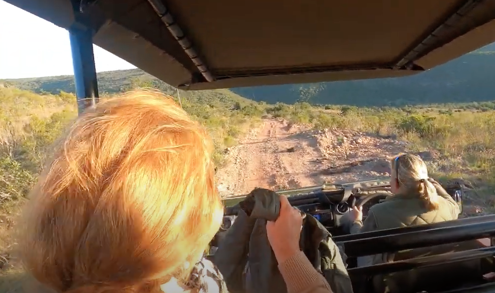 Driving in Shamwari Game Reserve