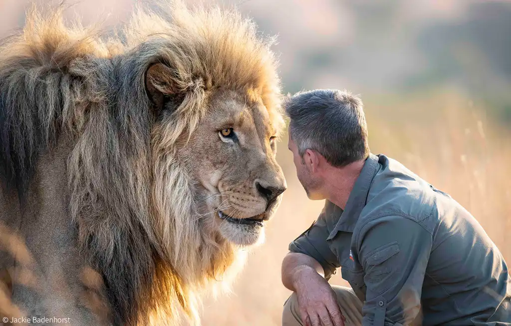 The Lion Whisperer